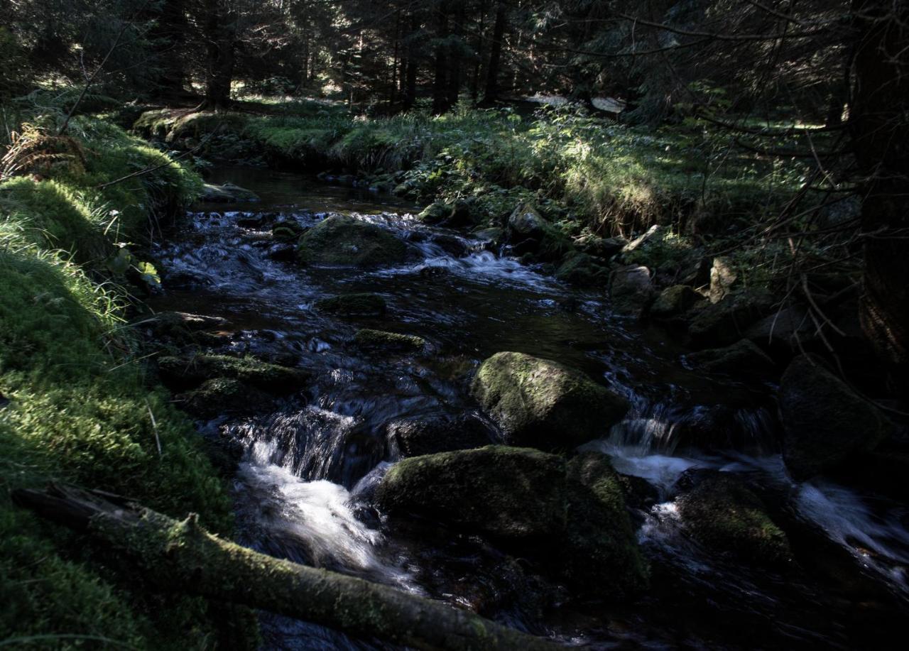 Na Losenici Nicov  Exteriér fotografie