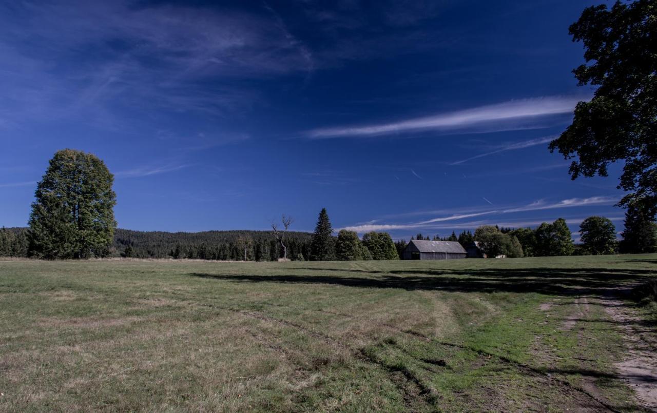 Na Losenici Nicov  Exteriér fotografie