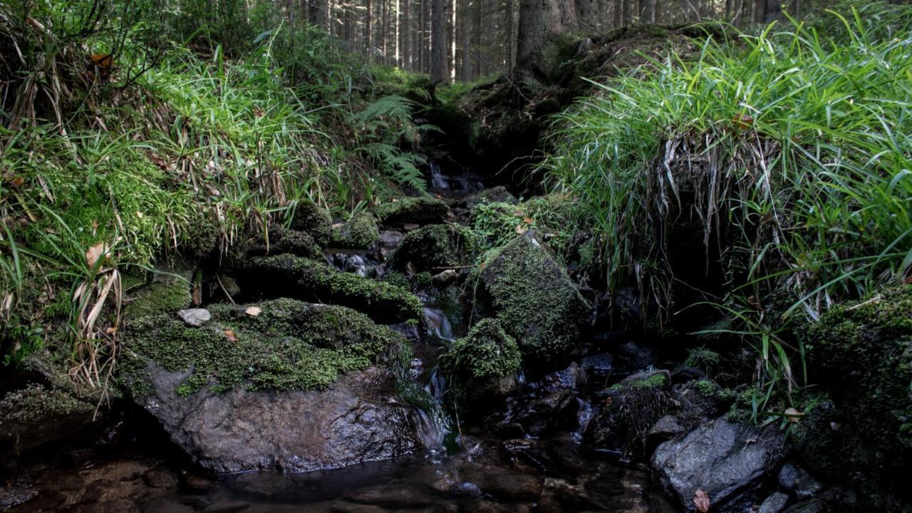 Na Losenici Nicov  Exteriér fotografie