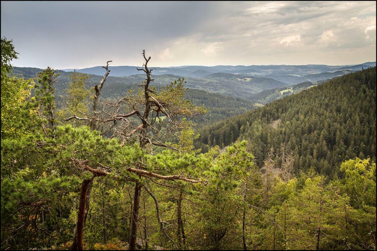 Na Losenici Nicov  Exteriér fotografie