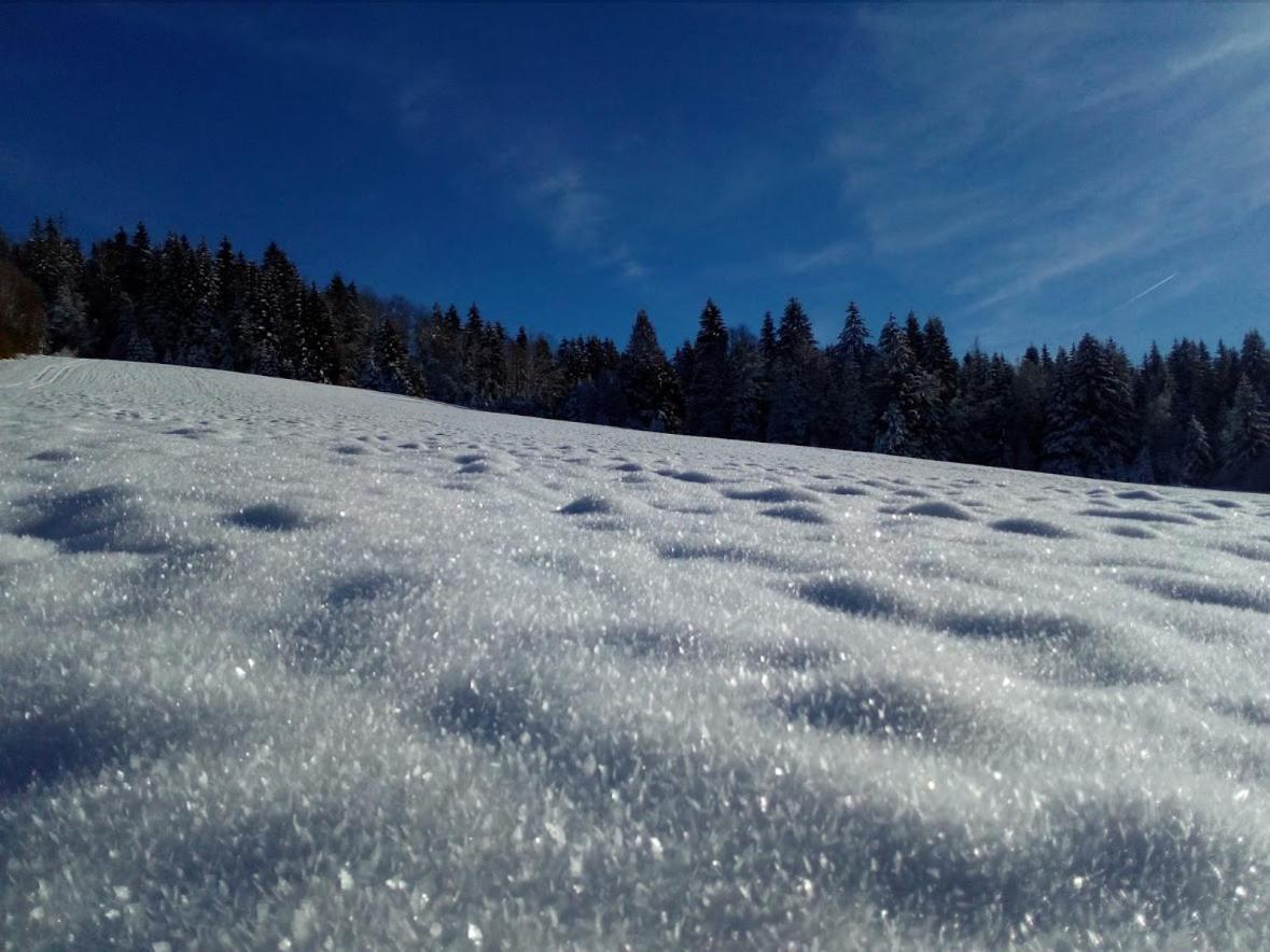 Na Losenici Nicov  Exteriér fotografie